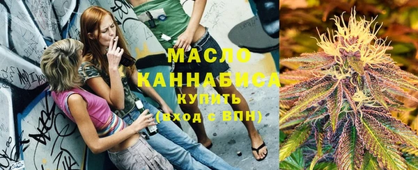 дживик Каменка