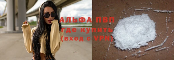 эйфоретик Карпинск